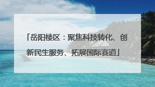岳阳楼区：聚焦科技转化、创新民生服务、拓展国际赛道
