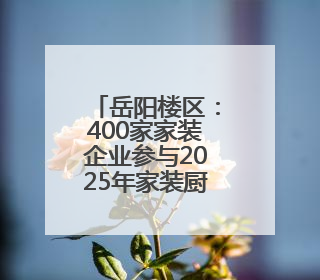 岳阳楼区：400家家装企业参与2025年家装厨卫“以旧换新”民生工程