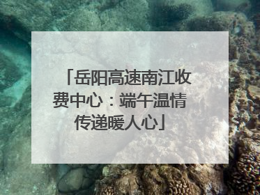 岳阳高速南江收费中心：端午温情传递暖人心
