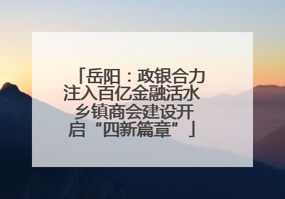 岳阳：政银合力注入百亿金融活水 乡镇商会建设开启“四新篇章”