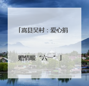 嵩县吴村：爱心捐赠情暖“六一”