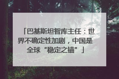 巴基斯坦智库主任：世界不确定性加剧，中国是全球“稳定之锚”