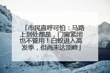 市民直呼可怕：马路上到处都是，门窗紧闭也不管用！白蚁进入高发季，但尚未达顶峰