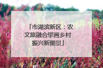 市湖滨新区：农文旅融合擘画乡村振兴新图景