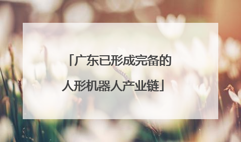 广东已形成完备的人形机器人产业链