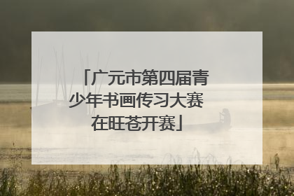 广元市第四届青少年书画传习大赛在旺苍开赛