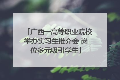 广西一高等职业院校举办实习生推介会 岗位多元吸引学生