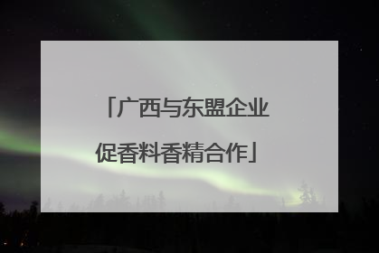 广西与东盟企业促香料香精合作