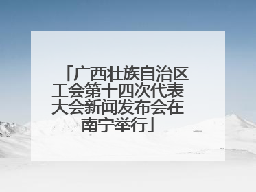 广西壮族自治区工会第十四次代表大会新闻发布会在南宁举行