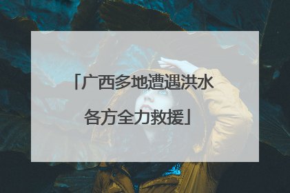 广西多地遭遇洪水 各方全力救援