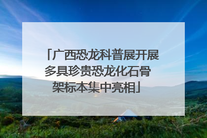 广西恐龙科普展开展 多具珍贵恐龙化石骨架标本集中亮相