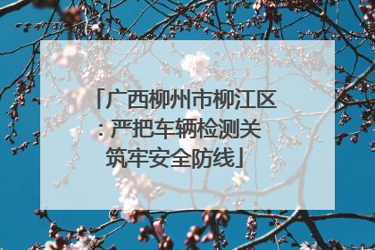 广西柳州市柳江区：严把车辆检测关 筑牢安全防线