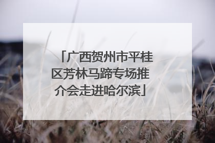 广西贺州市平桂区芳林马蹄专场推介会走进哈尔滨