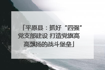平原县：抓好“四强”党支部建设 打造党旗高高飘扬的战斗堡垒