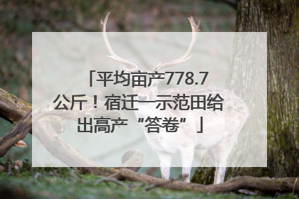 平均亩产778.7公斤！宿迁一示范田给出高产“答卷”