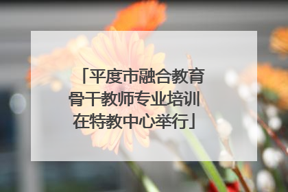 平度市融合教育骨干教师专业培训在特教中心举行