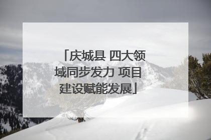 庆城县 四大领域同步发力 项目建设赋能发展