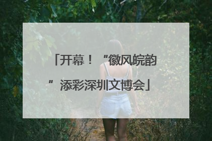 开幕！“徽风皖韵”添彩深圳文博会