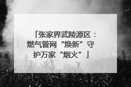 张家界武陵源区：燃气管网“焕新”守护万家“烟火”