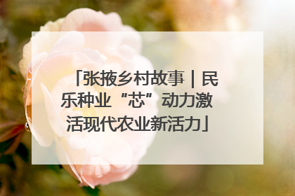 张掖乡村故事｜民乐种业“芯”动力激活现代农业新活力