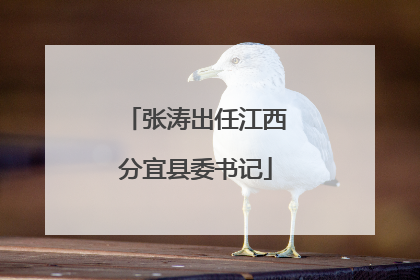 张涛出任江西分宜县委书记