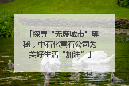 探寻“无废城市”奥秘，中石化黄石公司为美好生活“加油”