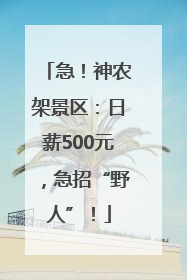 急！神农架景区：日薪500元，急招“野人”！
