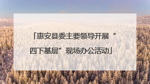惠安县委主要领导开展“四下基层”现场办公活动