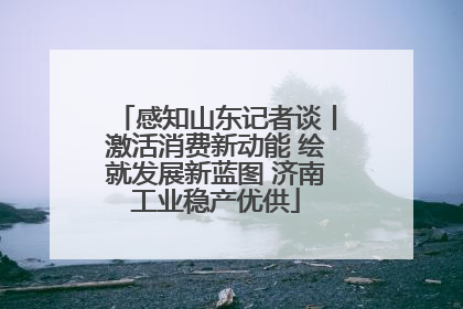 感知山东记者谈丨激活消费新动能 绘就发展新蓝图 济南工业稳产优供