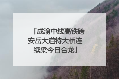 成渝中线高铁跨安岳大道特大桥连续梁今日合龙