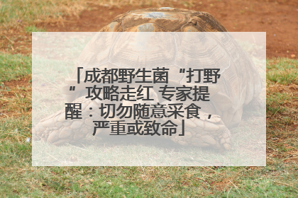 成都野生菌“打野”攻略走红 专家提醒：切勿随意采食，严重或致命