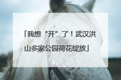 我想“开”了！武汉洪山多家公园荷花绽放