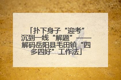 扑下身子“迎考” 沉到一线“解题”——解码岳阳县毛田镇“四多四好”工作法