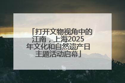打开文物视角中的江南，上海2025年文化和自然遗产日主题活动启幕