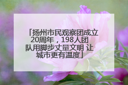 扬州市民观察团成立20周年，198人团队用脚步丈量文明 让城市更有温度