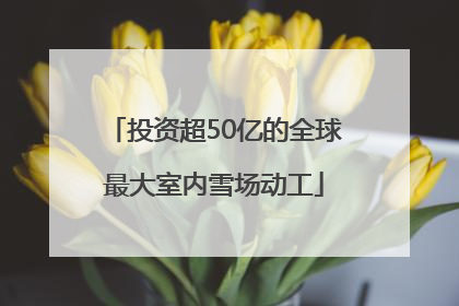 投资超50亿的全球最大室内雪场动工