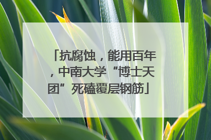 抗腐蚀，能用百年，中南大学“博士天团”死磕覆层钢筋