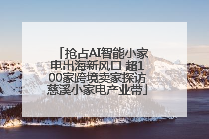 抢占AI智能小家电出海新风口 超100家跨境卖家探访慈溪小家电产业带