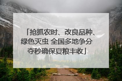 抢抓农时、改良品种、绿色灭虫 全国多地争分夺秒确保夏粮丰收
