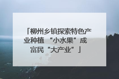 柳州乡镇探索特色产业种植 “小水果”成富民“大产业”