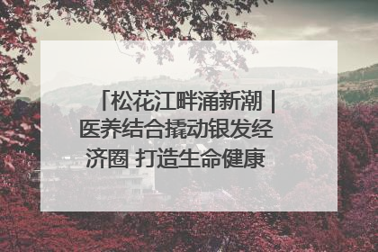 松花江畔涌新潮｜医养结合撬动银发经济圈 打造生命健康产业新样本