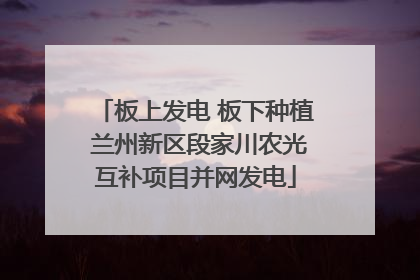 板上发电 板下种植 兰州新区段家川农光互补项目并网发电