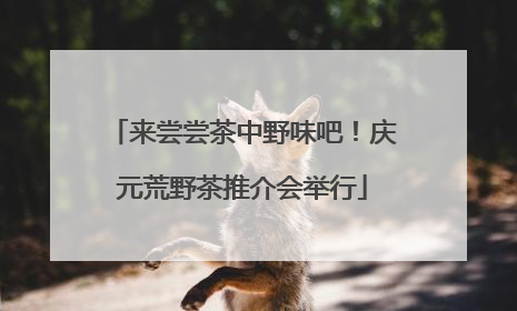 来尝尝茶中野味吧！庆元荒野茶推介会举行