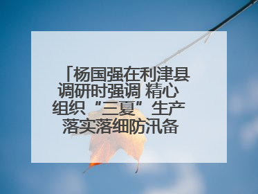 杨国强在利津县调研时强调 精心组织“三夏”生产 落实落细防汛备汛工作