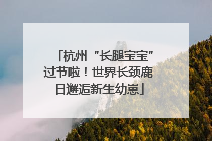 杭州“长腿宝宝”过节啦！世界长颈鹿日邂逅新生幼崽