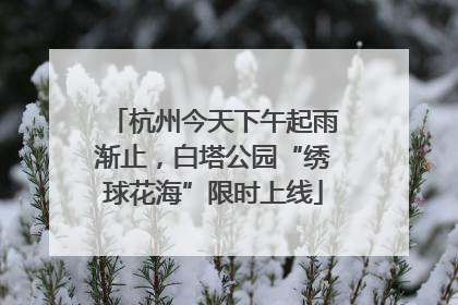 杭州今天下午起雨渐止，白塔公园“绣球花海”限时上线