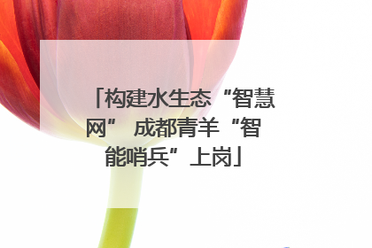 构建水生态“智慧网” 成都青羊“智能哨兵”上岗
