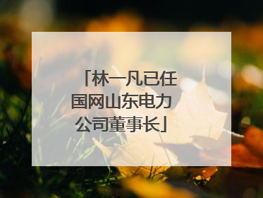 林一凡已任国网山东电力公司董事长