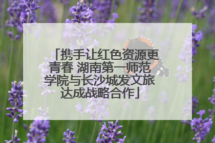 携手让红色资源更青春 湖南第一师范学院与长沙城发文旅达成战略合作
