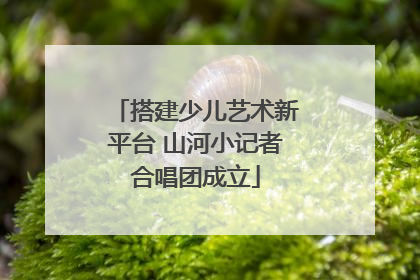 搭建少儿艺术新平台 山河小记者合唱团成立